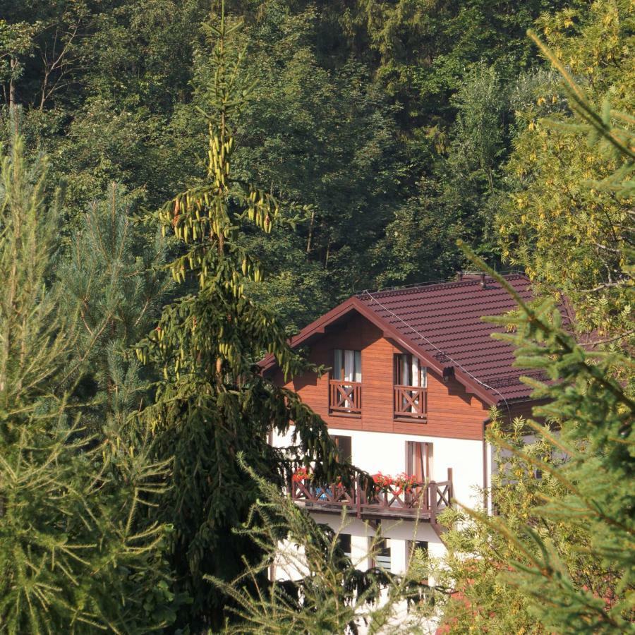 Antracyt Apartment Krynica Zdroj Bagian luar foto